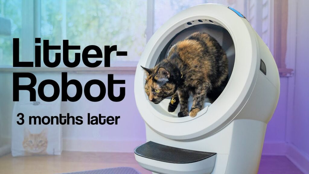 Litter Robot 4 Review