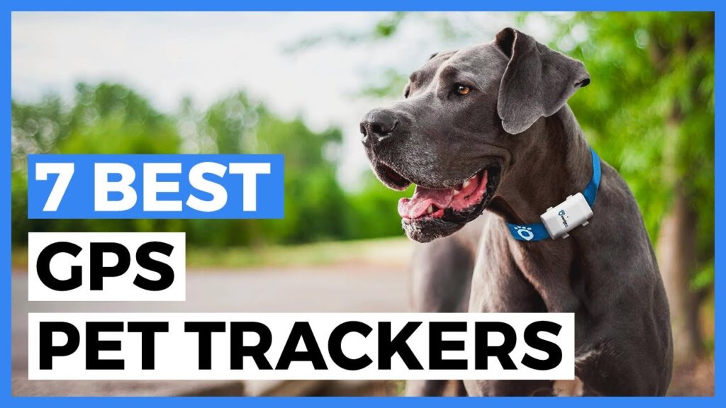 Top Bluetooth trackers for keeping track of your pets